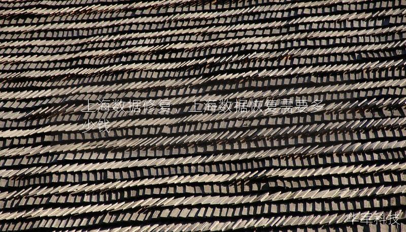 上海数据修复，上海数据恢复需要多少钱