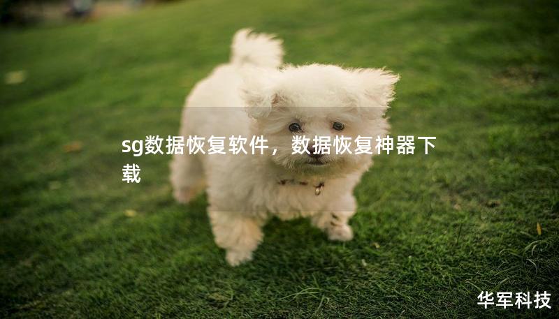 sg数据恢复软件,数据恢复神器下载 sg数据恢复软件,数据恢复神器下载
