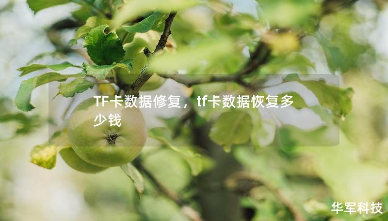 TF卡数据修复,tf卡数据恢复多少钱 TF卡数据修复,tf卡数据恢复多少钱