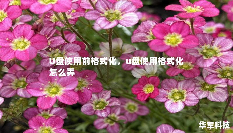 U盘使用前格式化,u盘使用格式化怎么弄 U盘使用前格式化,u盘使用格式化怎么弄