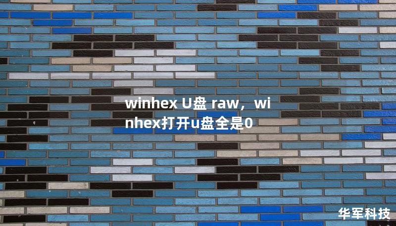 winhex U盘 raw,winhex打开u盘全是0 winhex U盘 raw,winhex打开u盘全是0