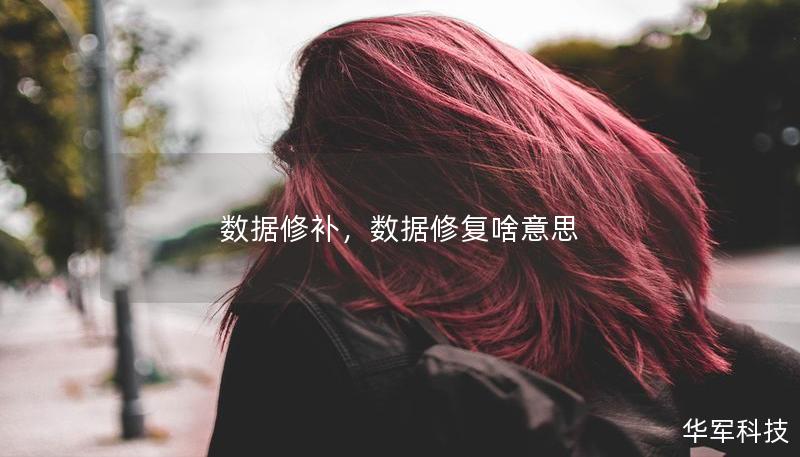 数据修补,数据修复啥意思 数据修补,数据修复啥意思