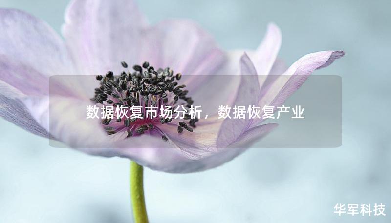 数据恢复市场分析,数据恢复产业 数据恢复市场分析,数据恢复产业