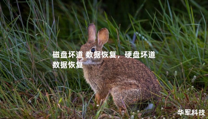 磁盘坏道 数据恢复,硬盘坏道 数据恢复 磁盘坏道 数据恢复,硬盘坏道 数据恢复