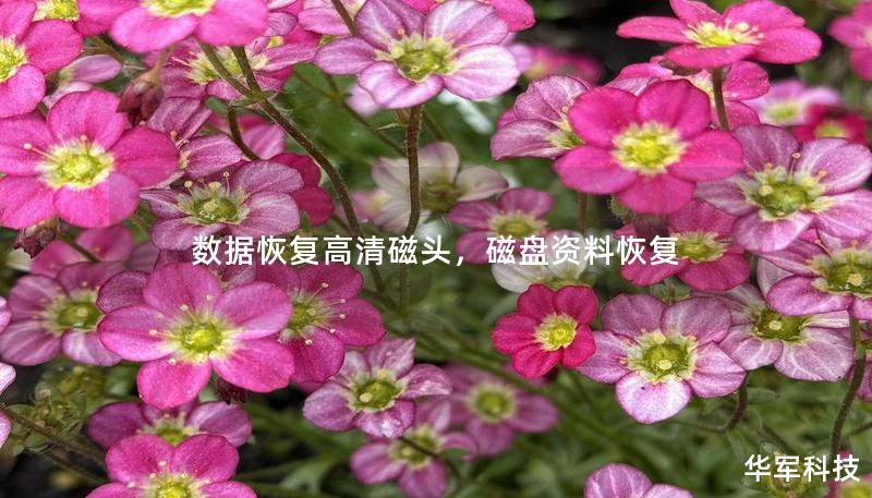 数据恢复高清磁头,磁盘资料恢复 数据恢复高清磁头,磁盘资料恢复