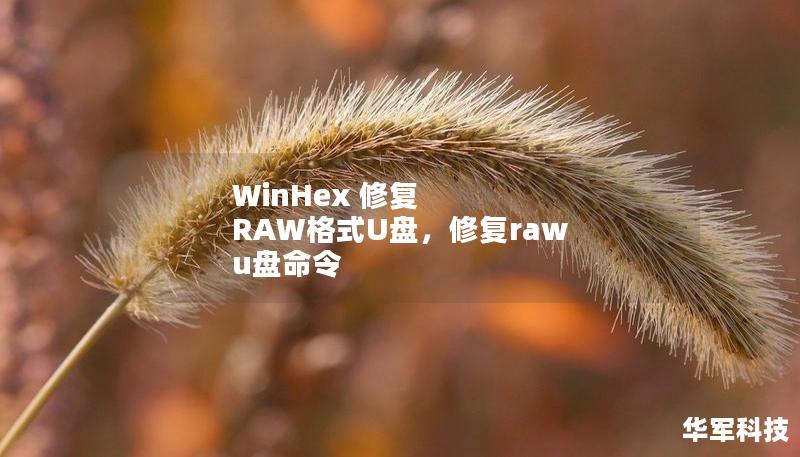 WinHex 修复 RAW格式U盘,修复raw u盘命令 WinHex 修复 RAW格式U盘,修复raw u盘命令
