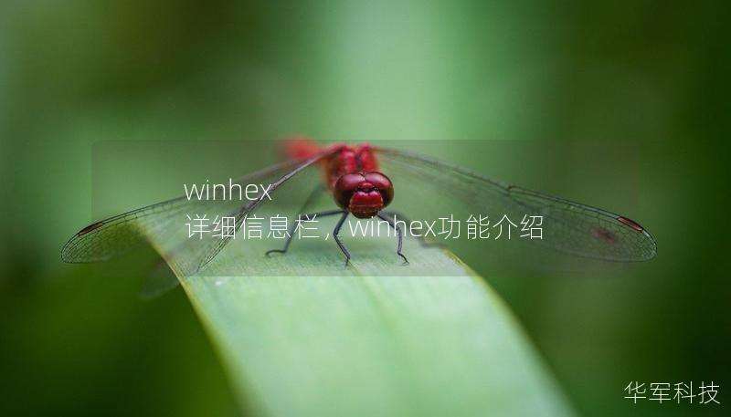 winhex 详细信息栏,winhex功能介绍 winhex 详细信息栏,winhex功能介绍
