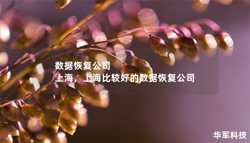 数据恢复公司 上海,上海比较好的数据恢复公司 数据恢复公司 上海,上海比较好的数据恢复公司