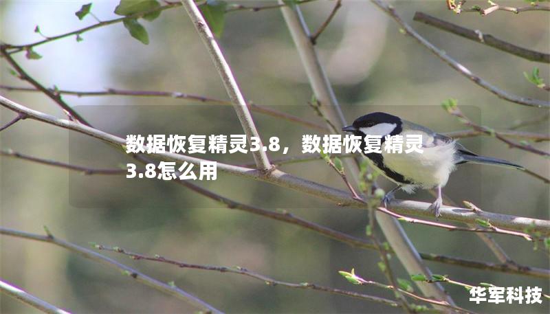 数据恢复精灵3.8,数据恢复精灵3.8怎么用 数据恢复精灵3.8,数据恢复精灵3.8怎么用