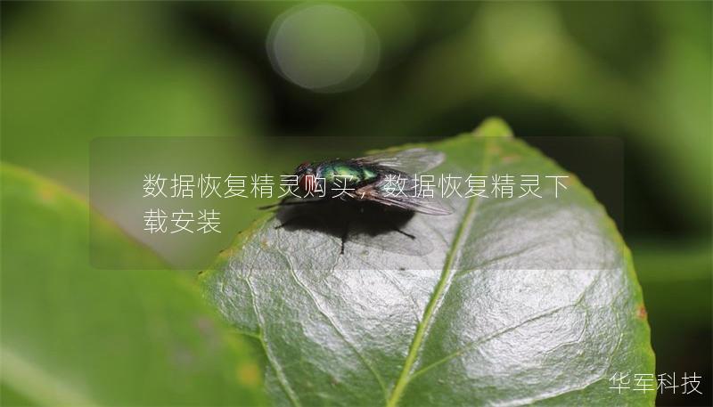 数据恢复精灵购买,数据恢复精灵下载安装 数据恢复精灵购买,数据恢复精灵下载安装