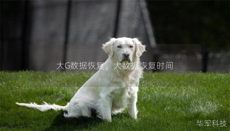 大G数据恢复，大数据恢复时间