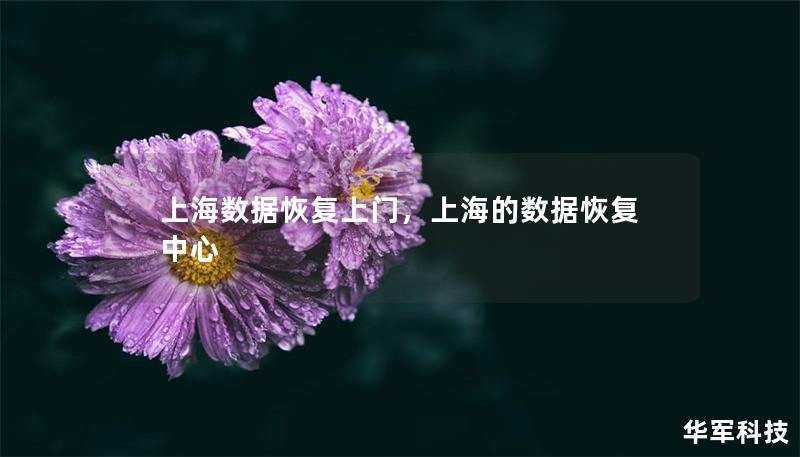 上海数据恢复上门,上海的数据恢复中心 上海数据恢复上门,上海的数据恢复中心