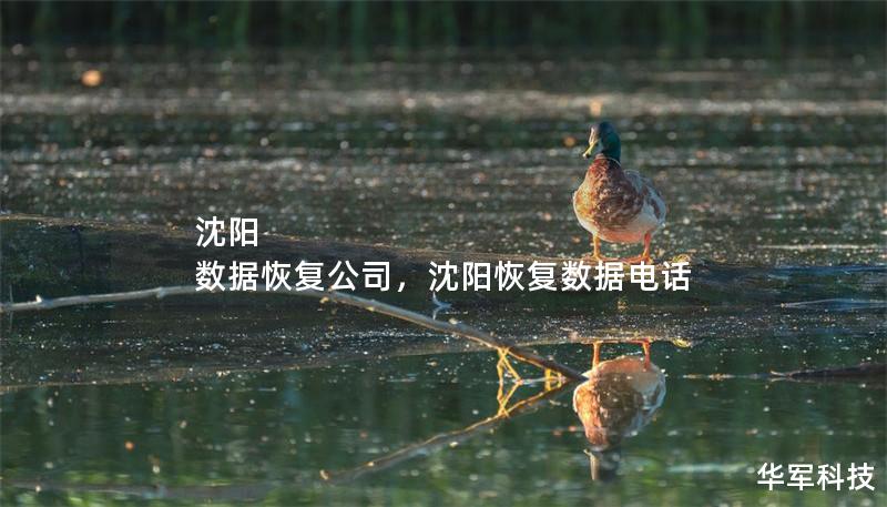 沈阳 数据恢复公司,沈阳恢复数据电话 沈阳 数据恢复公司,沈阳恢复数据电话