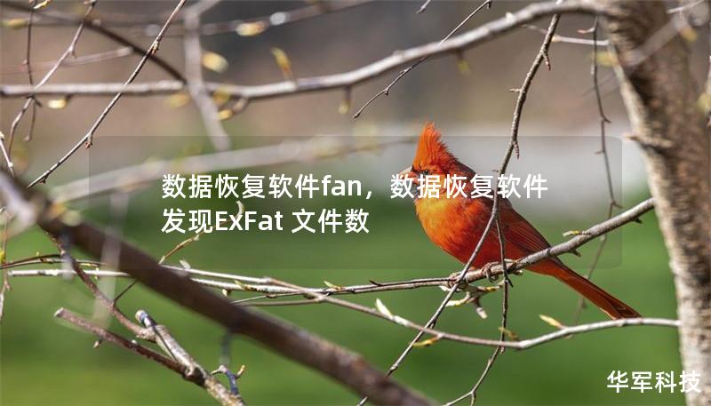 数据恢复软件fan，数据恢复软件发现ExFat 文件数