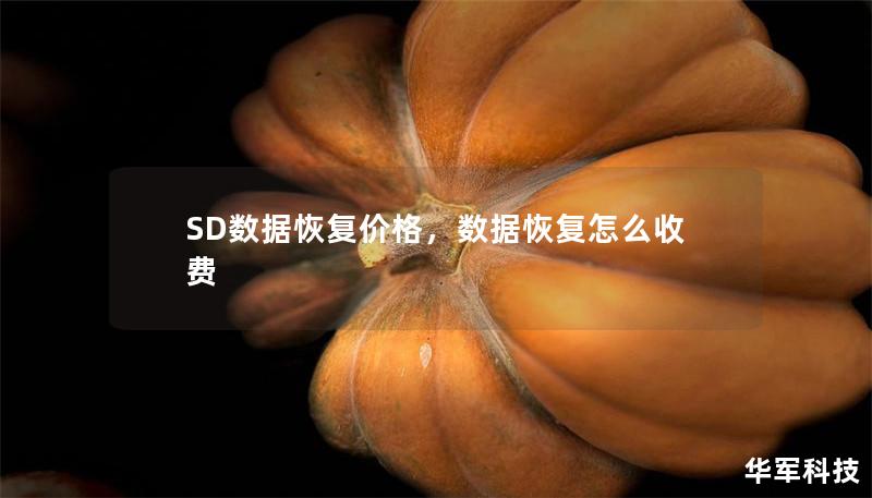 SD数据恢复价格,数据恢复怎么收费 SD数据恢复价格,数据恢复怎么收费