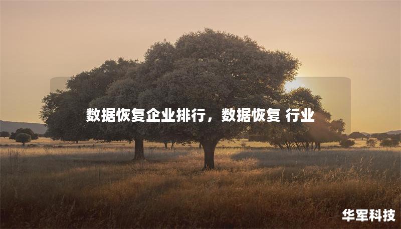 数据恢复企业排行,数据恢复 行业 数据恢复企业排行,数据恢复 行业
