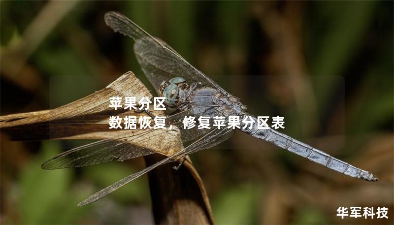 苹果分区 数据恢复,修复苹果分区表 苹果分区 数据恢复,修复苹果分区表