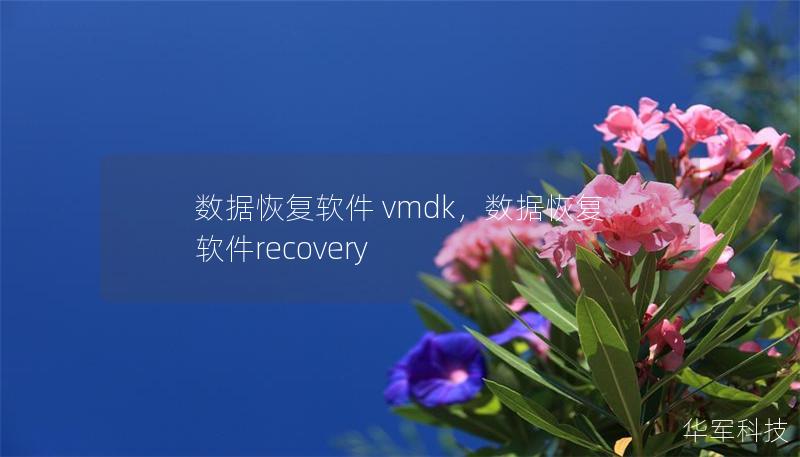 数据恢复软件 vmdk，数据恢复软件recovery