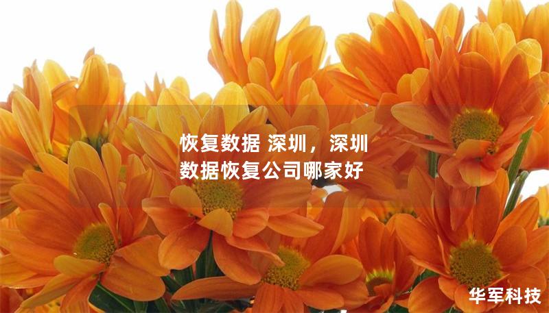 恢复数据 深圳,深圳 数据恢复公司哪家好 恢复数据 深圳,深圳 数据恢复公司哪家好