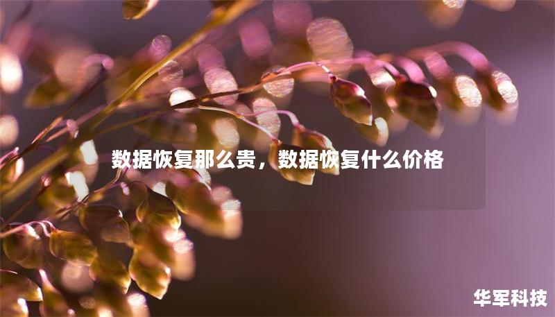数据恢复那么贵,数据恢复什么价格 数据恢复那么贵,数据恢复什么价格
