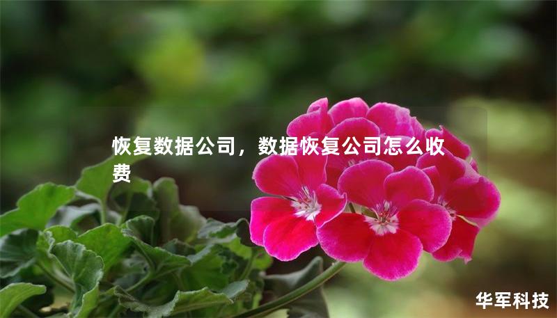恢复数据公司,数据恢复公司怎么收费 恢复数据公司,数据恢复公司怎么收费