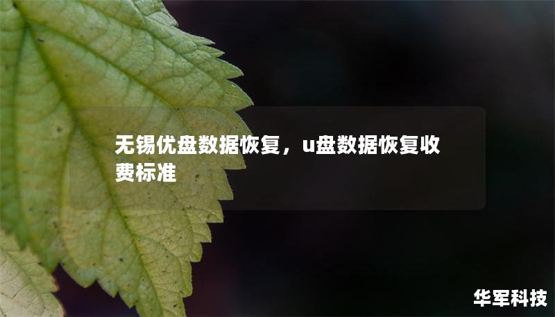无锡优盘数据恢复,u盘数据恢复收费标准 无锡优盘数据恢复,u盘数据恢复收费标准