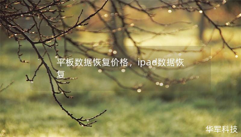 平板数据恢复价格,ipad数据恢复 平板数据恢复价格,ipad数据恢复
