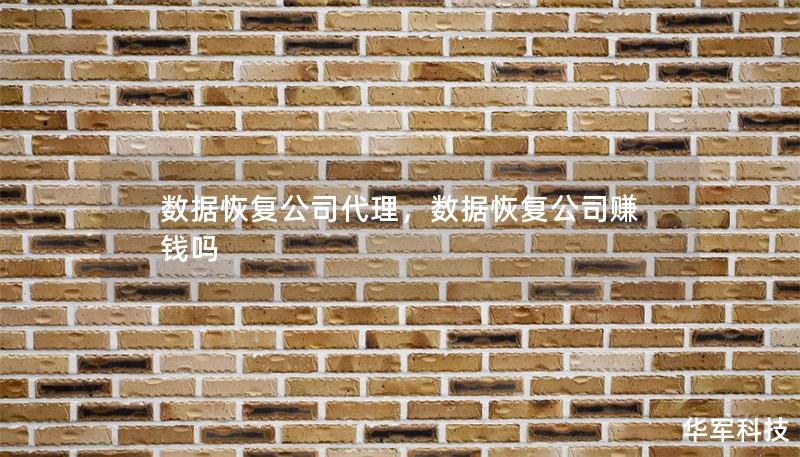 数据恢复公司代理，数据恢复公司赚钱吗