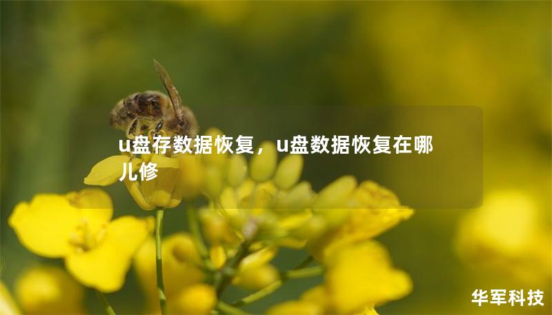 u盘存数据恢复,u盘数据恢复在哪儿修 u盘存数据恢复,u盘数据恢复在哪儿修