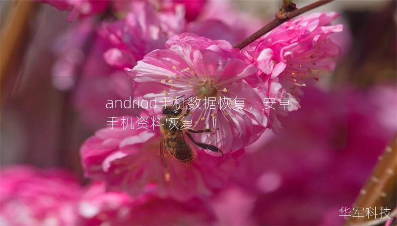 andriod手机数据恢复，安卓手机资料恢复