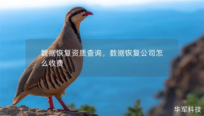 数据恢复资质查询,数据恢复公司怎么收费 数据恢复资质查询,数据恢复公司怎么收费