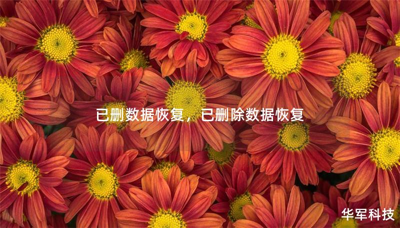 已删数据恢复,已删除数据恢复 已删数据恢复,已删除数据恢复