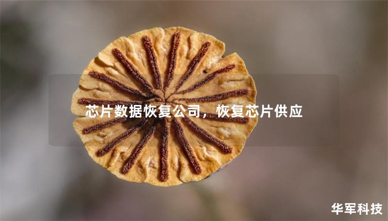 芯片数据恢复公司,恢复芯片供应 芯片数据恢复公司,恢复芯片供应