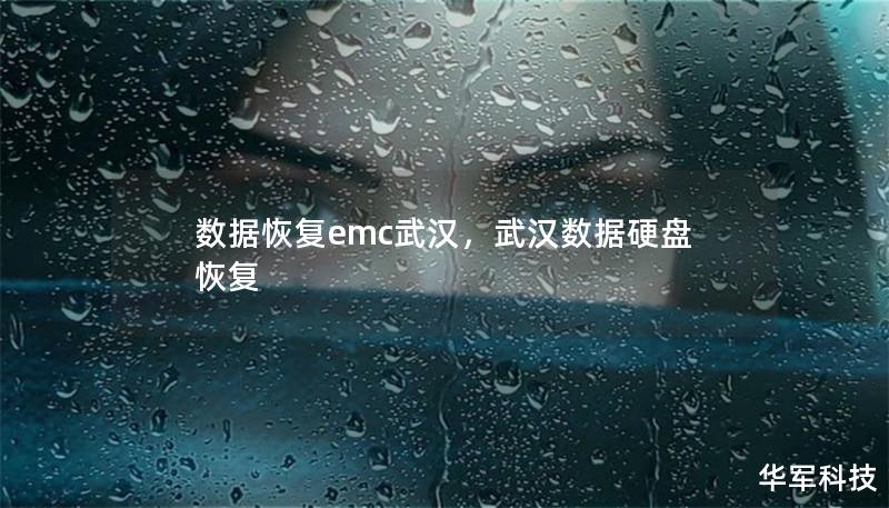 数据恢复emc武汉,武汉数据硬盘恢复 数据恢复emc武汉,武汉数据硬盘恢复