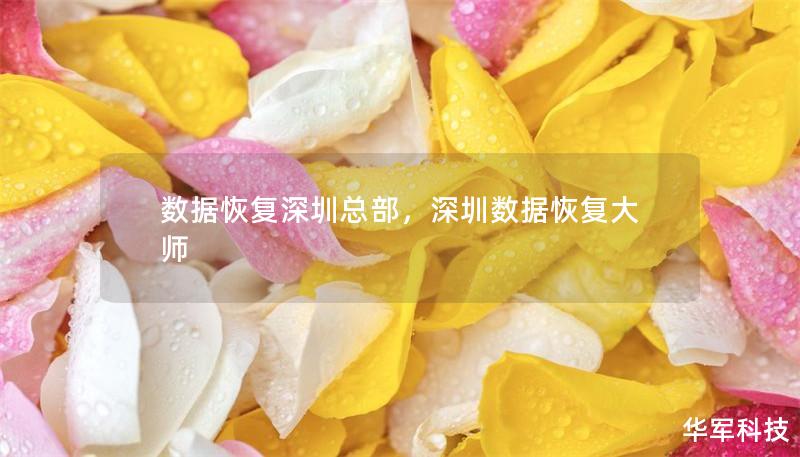 数据恢复深圳总部，深圳数据恢复大师