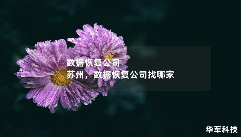 数据恢复公司 苏州,数据恢复公司找哪家 数据恢复公司 苏州,数据恢复公司找哪家
