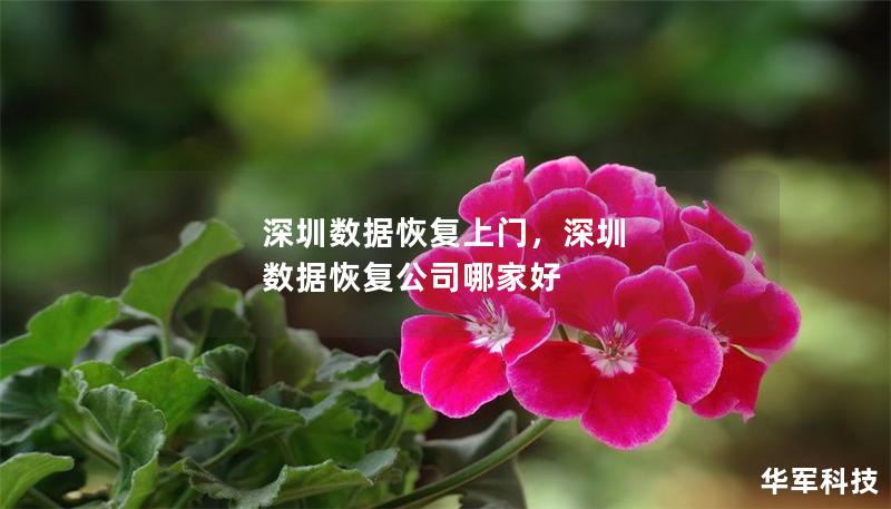 深圳数据恢复上门，深圳 数据恢复公司哪家好