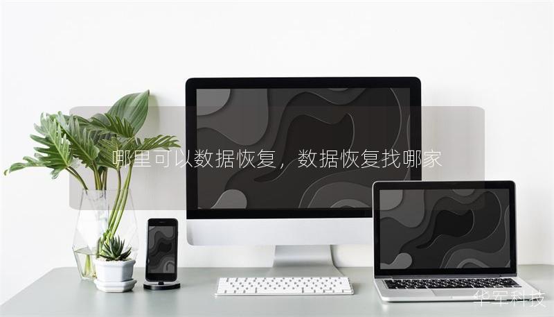 哪里可以数据恢复,数据恢复找哪家 哪里可以数据恢复,数据恢复找哪家