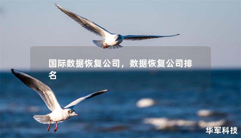 国际数据恢复公司,数据恢复公司排名 国际数据恢复公司,数据恢复公司排名