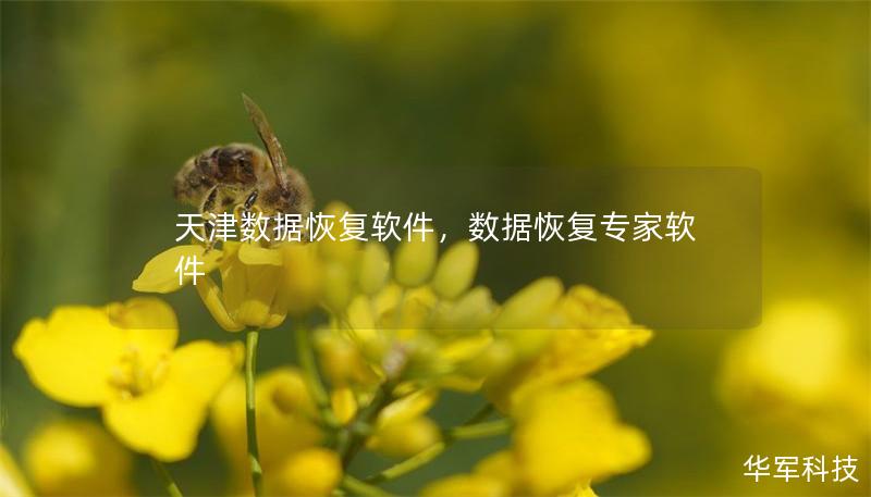 天津数据恢复软件，数据恢复专家软件