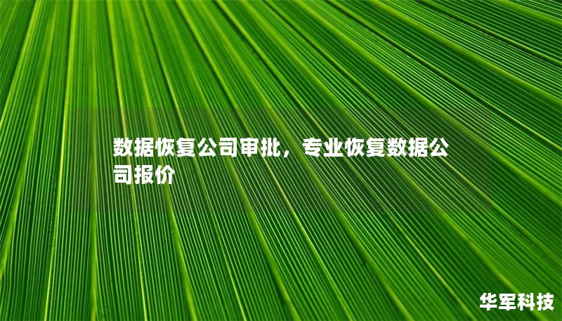 数据恢复公司审批,专业恢复数据公司报价 数据恢复公司审批,专业恢复数据公司报价