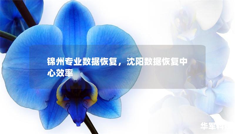 锦州专业数据恢复,沈阳数据恢复中心效率 锦州专业数据恢复,沈阳数据恢复中心效率