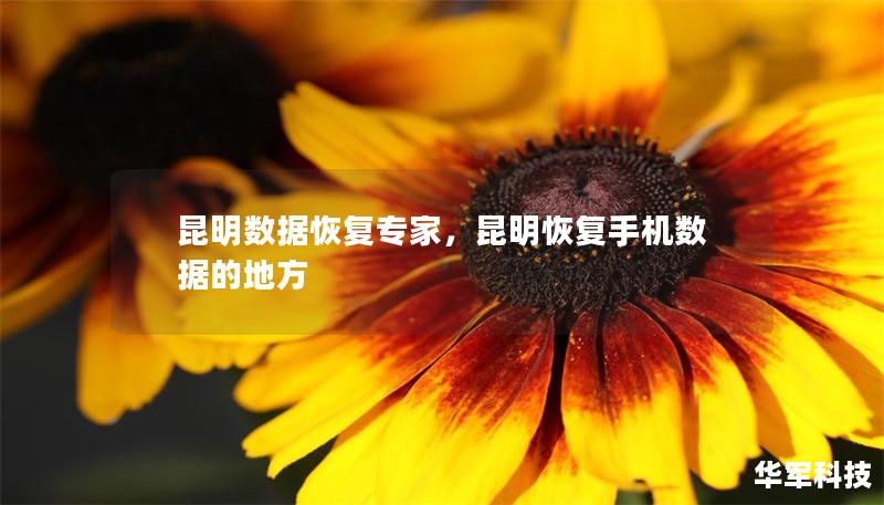 昆明数据恢复专家,昆明恢复手机数据的地方 昆明数据恢复专家,昆明恢复手机数据的地方