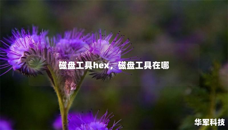 磁盘工具hex,磁盘工具在哪 磁盘工具hex,磁盘工具在哪