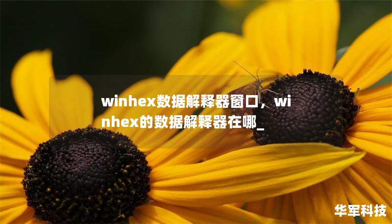winhex数据解释器窗口，winhex的数据解释器在哪_