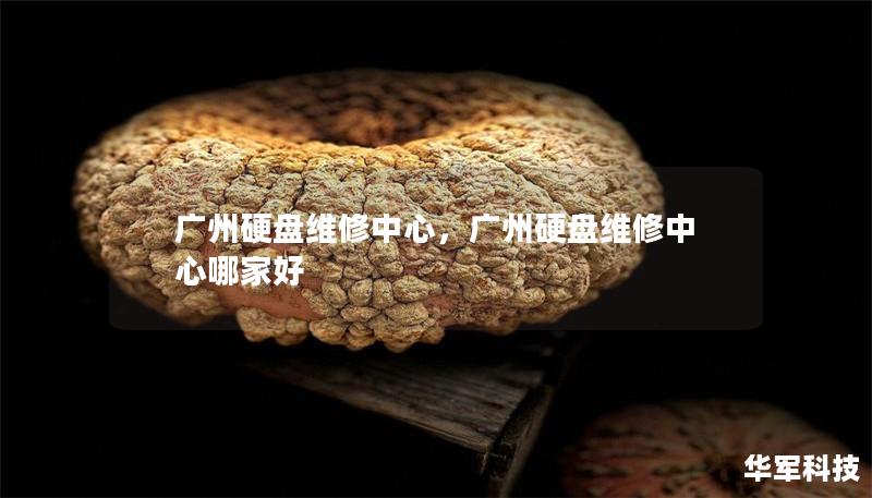 广州硬盘维修中心,广州硬盘维修中心哪家好 广州硬盘维修中心,广州硬盘维修中心哪家好