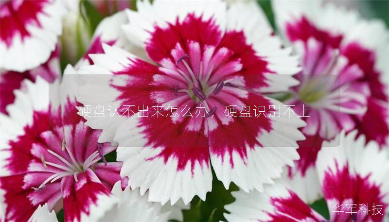 硬盘认不出来怎么办,硬盘识别不上 硬盘认不出来怎么办,硬盘识别不上