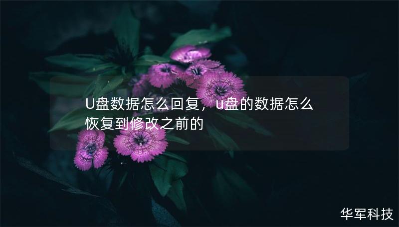 U盘数据怎么回复,u盘的数据怎么恢复到修改之前的 U盘数据怎么回复,u盘的数据怎么恢复到修改之前的