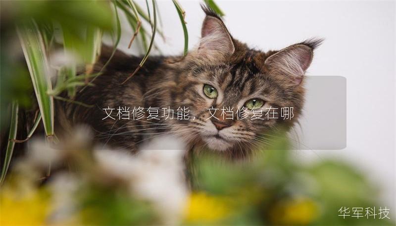 文档修复功能,文档修复在哪 文档修复功能,文档修复在哪
