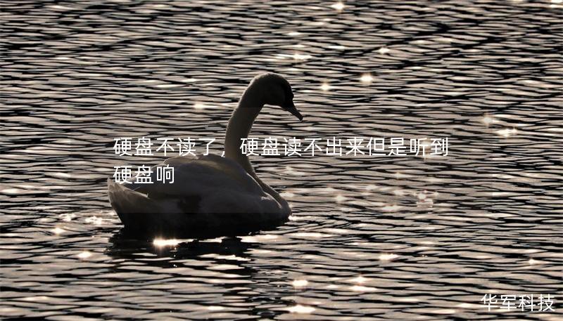 硬盘不读了,硬盘读不出来但是听到硬盘响 硬盘不读了,硬盘读不出来但是听到硬盘响